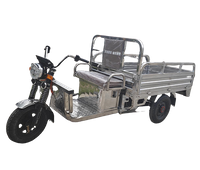 Electric cargo tricycle
