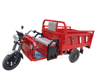 Electric cargo tricycle