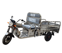 Electric cargo tricycle