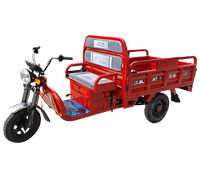 Electric cargo tricycle